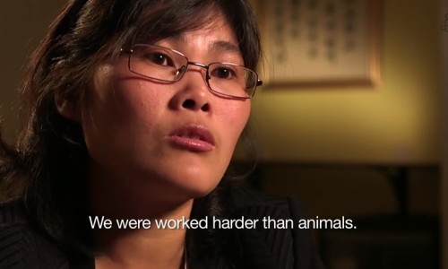 脸上早期狼疮图片网-分享脸上早期狼疮图片真实，脸上早期狼疮图片真实知识库