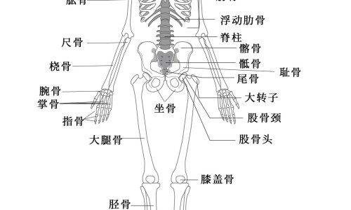 脸上早期狼疮图片网-分享脸上早期狼疮图片真实，脸上早期狼疮图片真实知识库